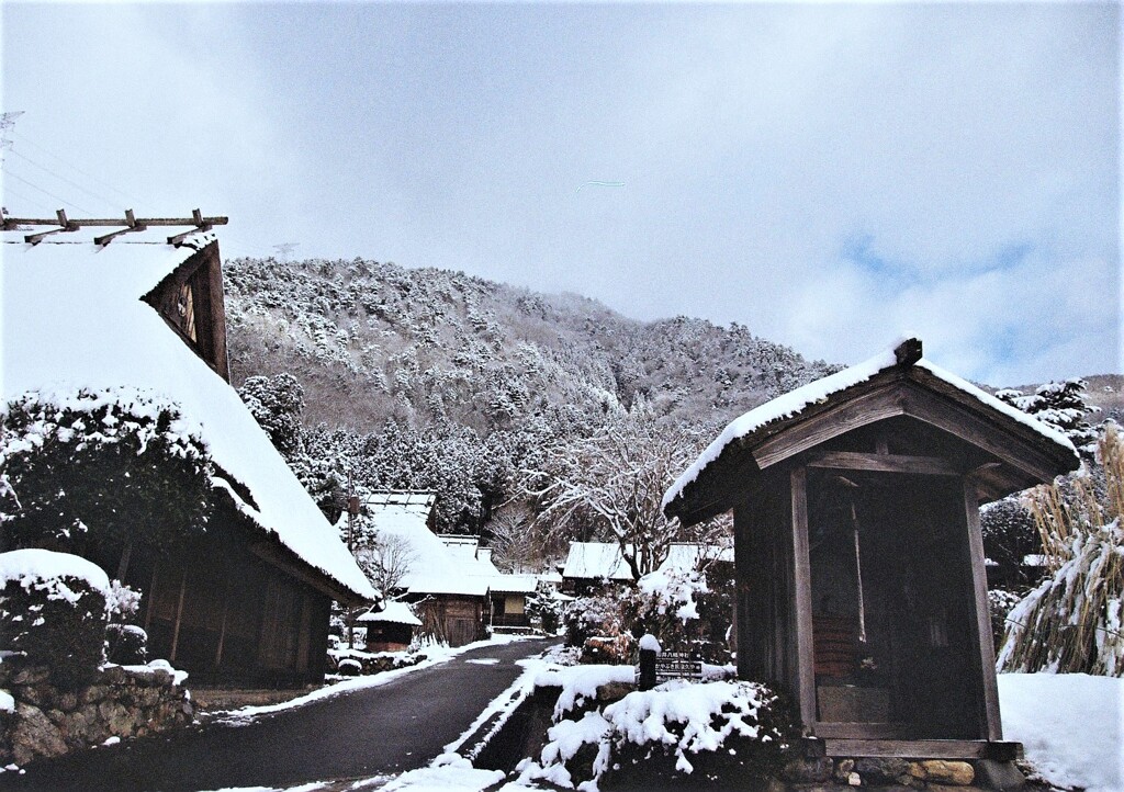 里山　冬