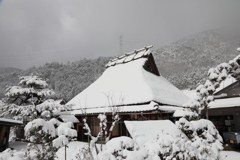 最強寒波の日　美山　8