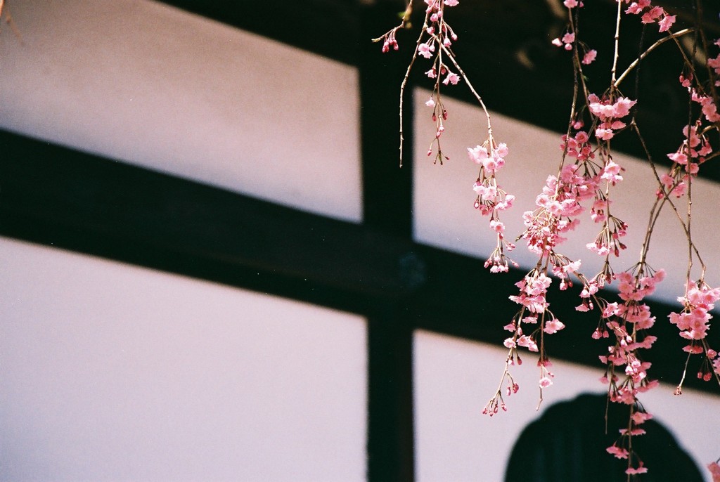 善峯寺