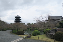 五重塔の風景