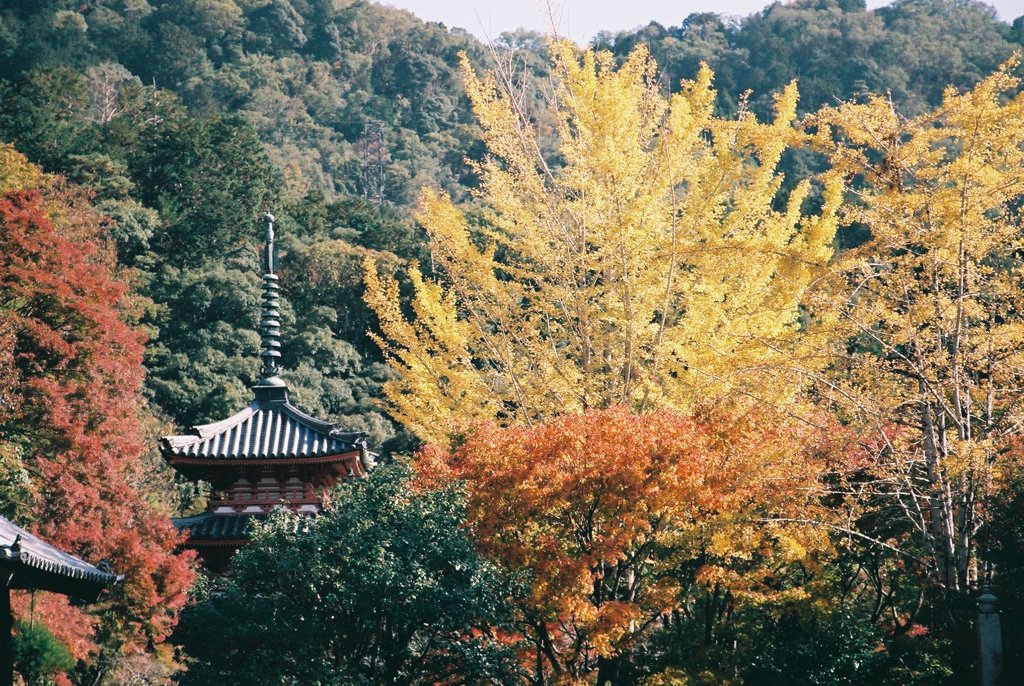 三室戸寺　その2