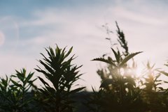 夕景03