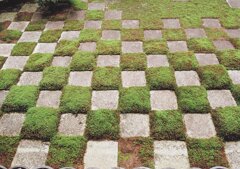 洒落た苔庭