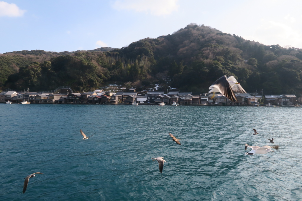 舟屋と海鳥たち