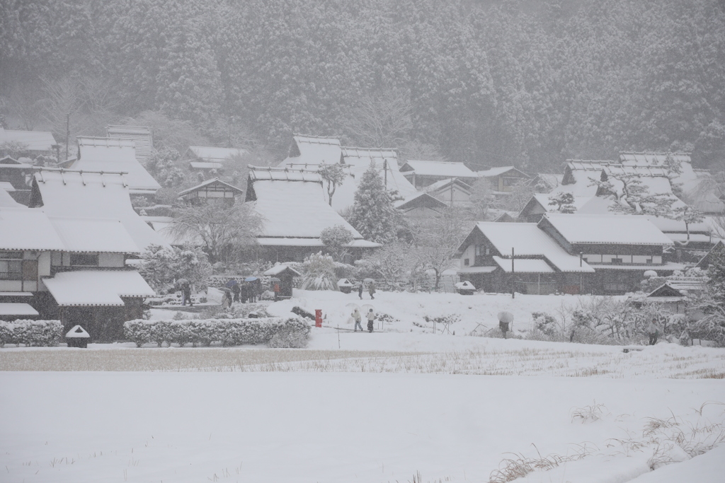 最強寒波の日　美山　3