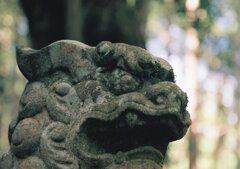 賀茂神社　阿形