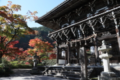 秋色詰め合わせ　参