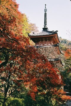 三室戸寺　その1