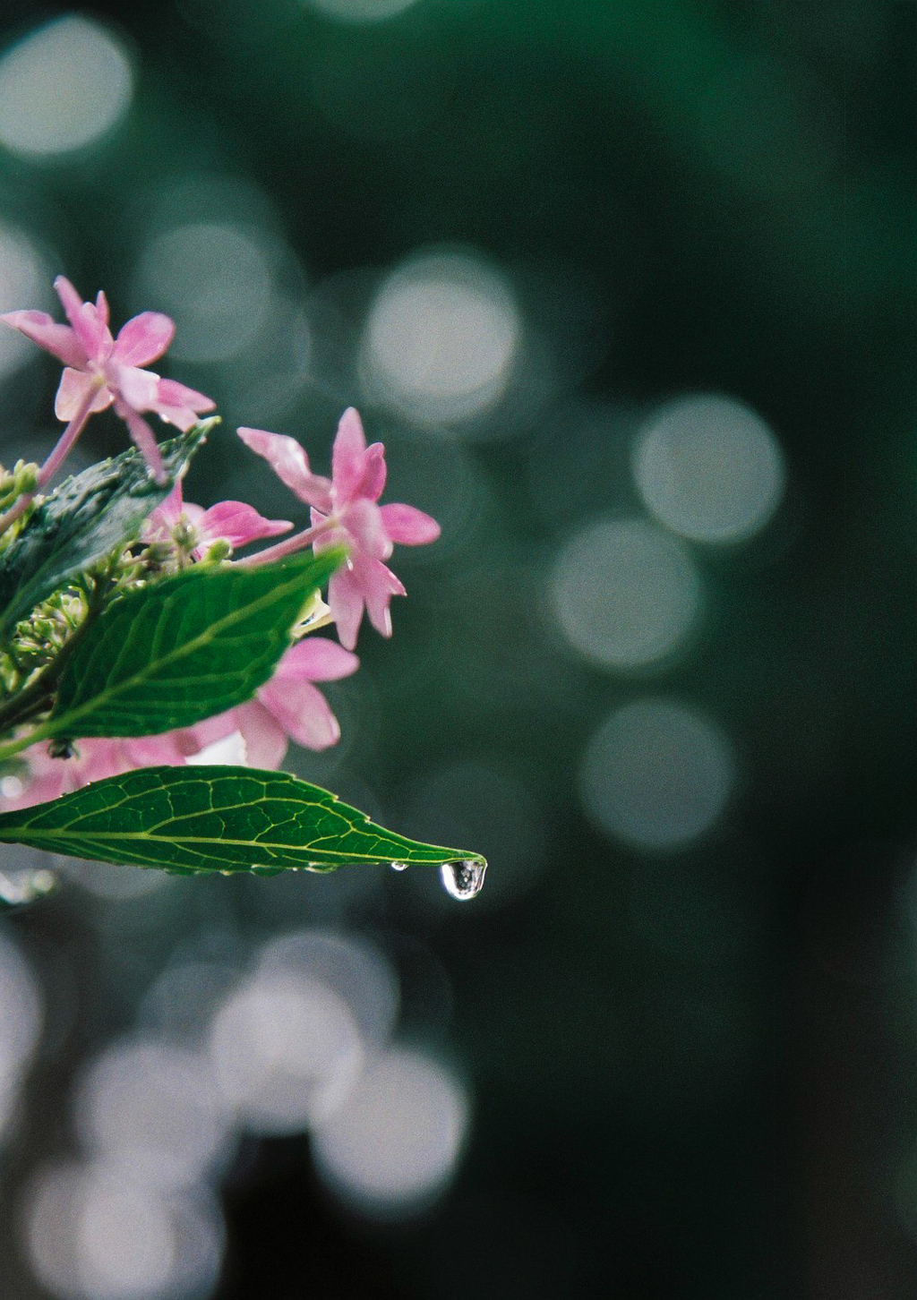 雨の中