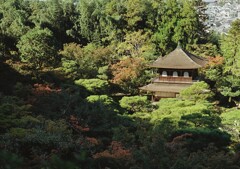 東山慈照寺　観音殿その2