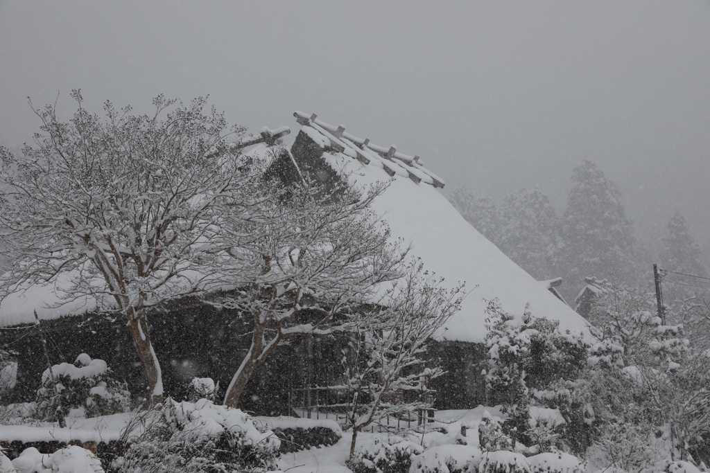 最強寒波の日　美山　1