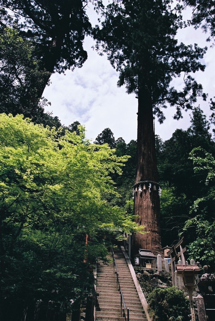 鞍馬寺8