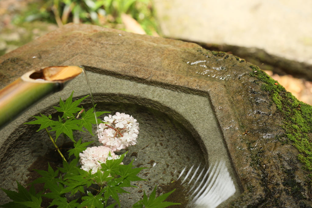 花手水　三景