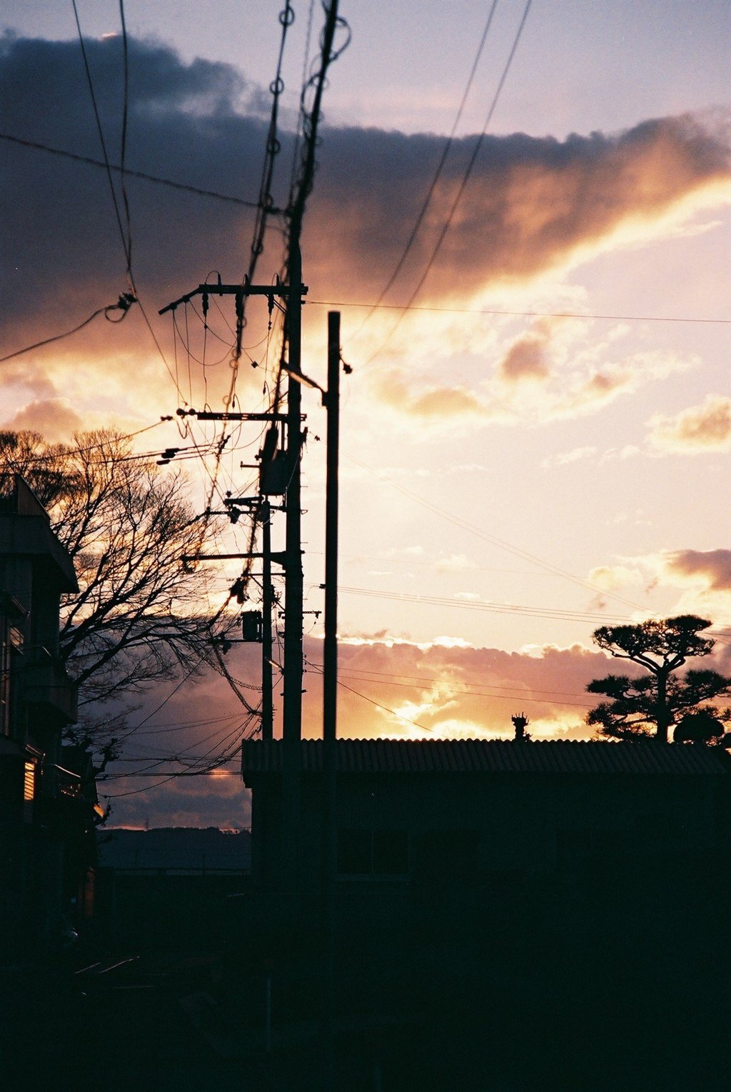 夕陽