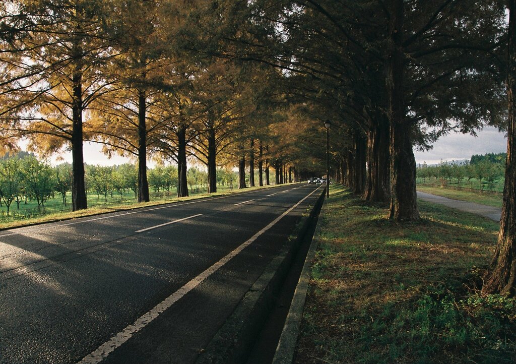 秋色詰め合わせ　拾