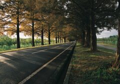 秋色詰め合わせ　拾