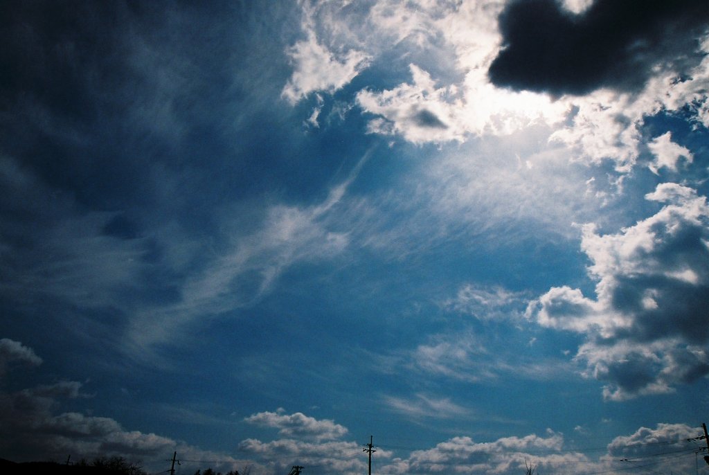 春の空