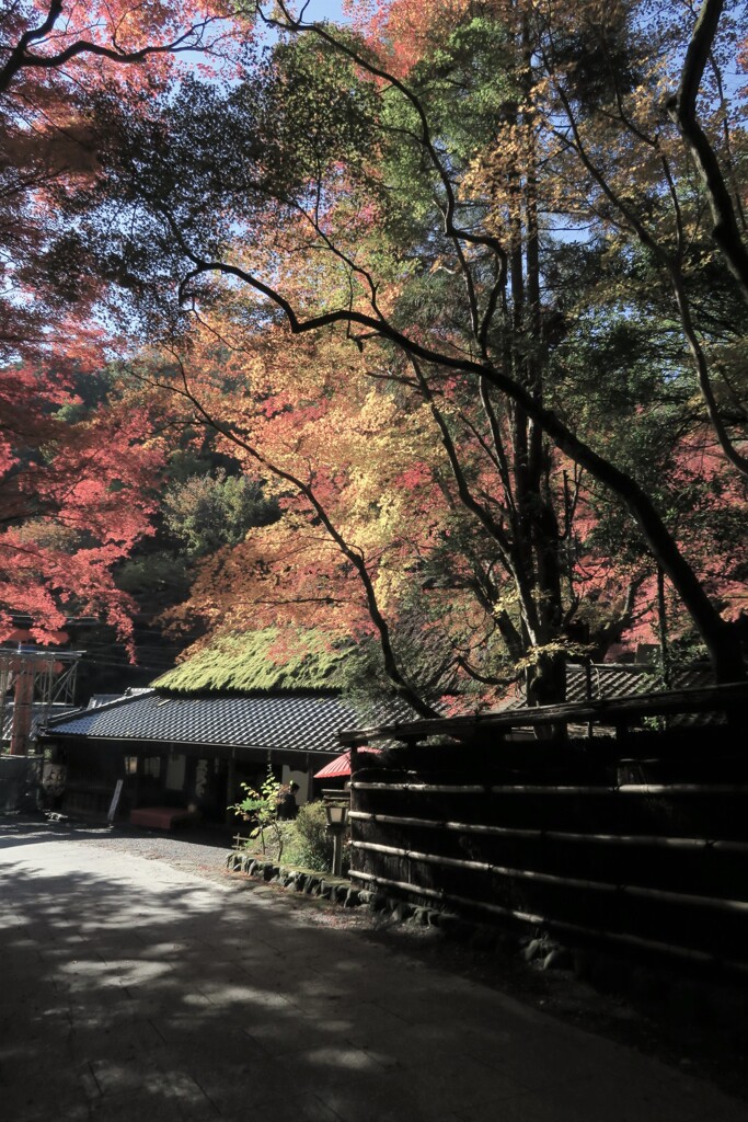 清滝　鳥居本其の壱