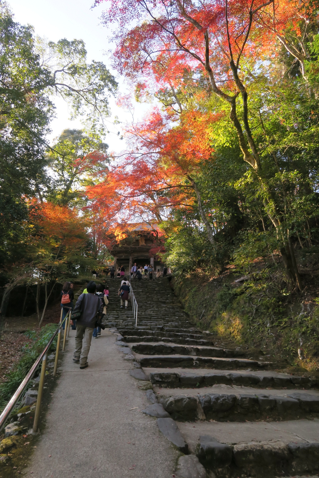 紅葉への石段