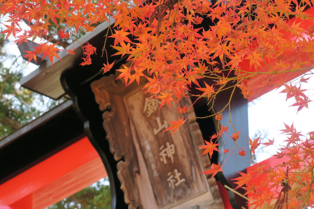 鍬山神社