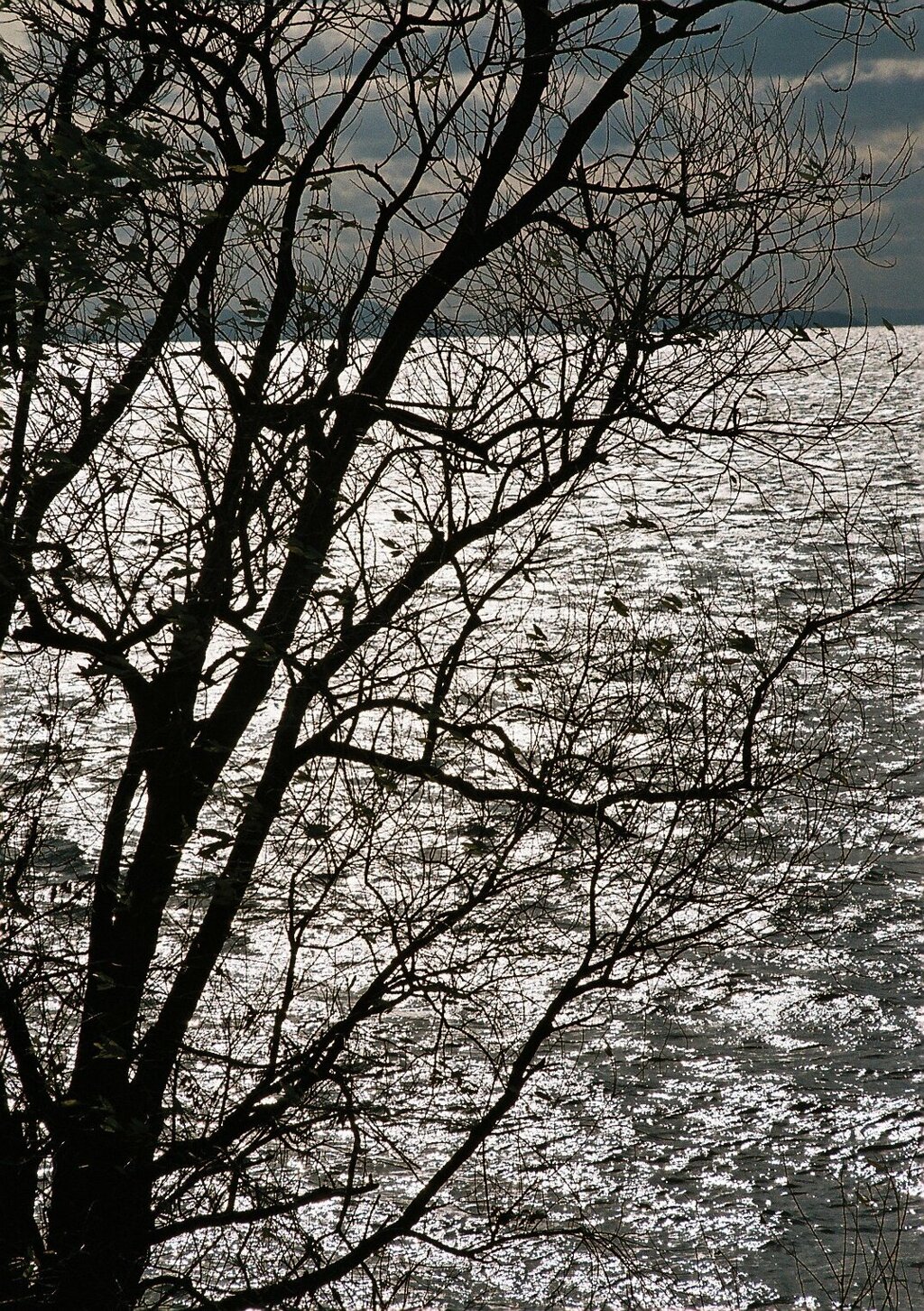 湖畔の景色 其の壱