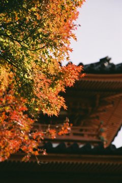 三室戸寺　その2