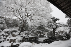再びの最強寒波　京都大原　8