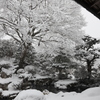 再びの最強寒波　京都大原　8