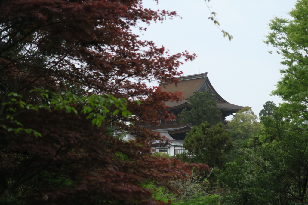 金峯山寺を望む