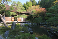 東山慈照寺　東求堂