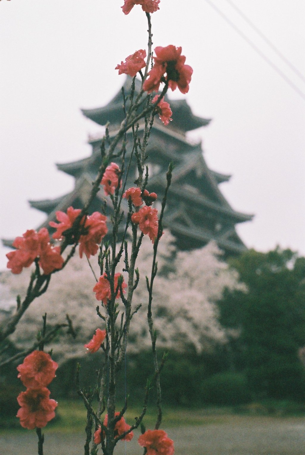 桃山城