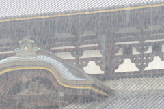 東大寺、驟雨　弐