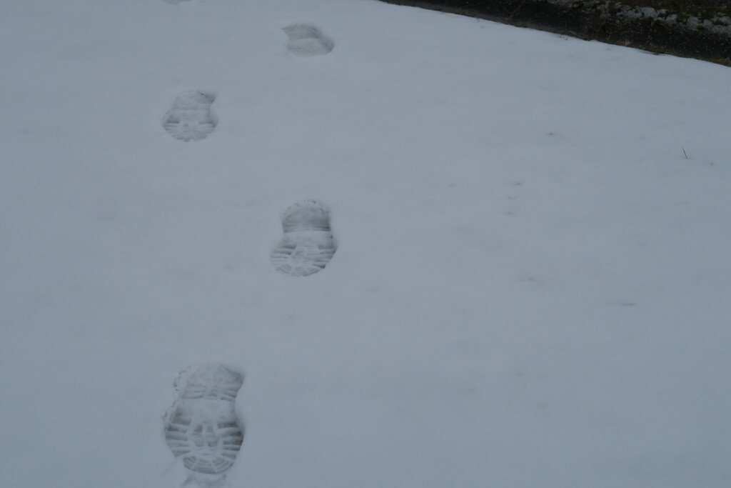 雪景色　あしあと