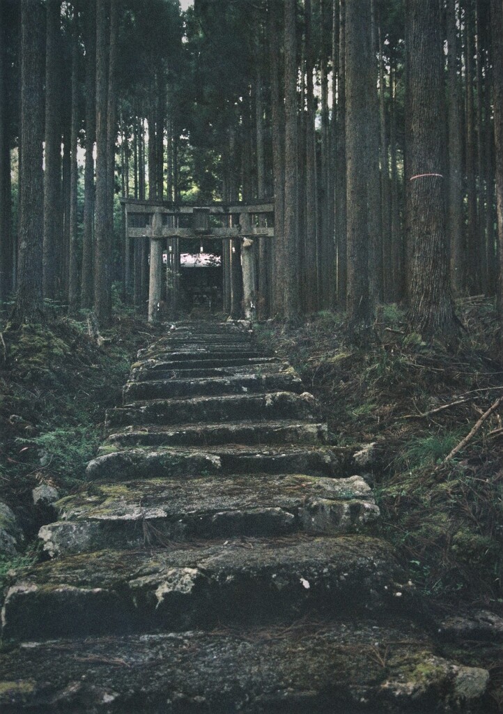 賀茂神社　