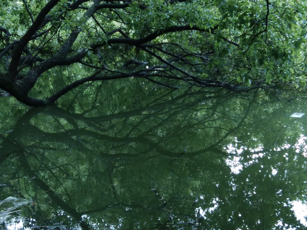 山田池公園4