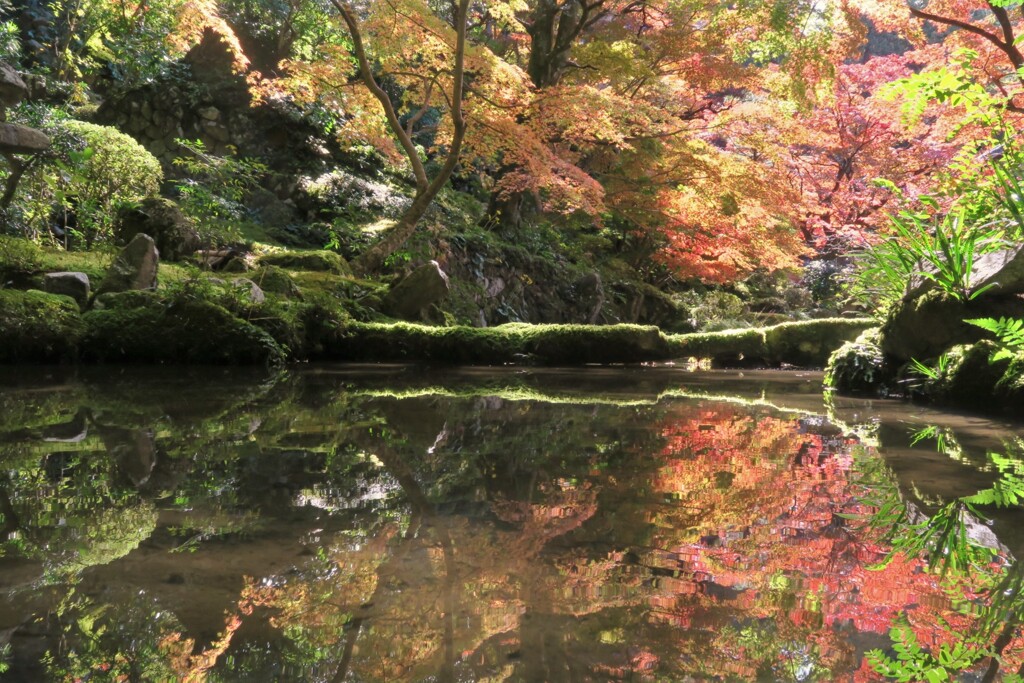 さかさ紅葉
