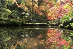 さかさ紅葉