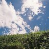 伊吹の夏空　其の弐