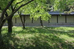 京都御苑での風景　伍