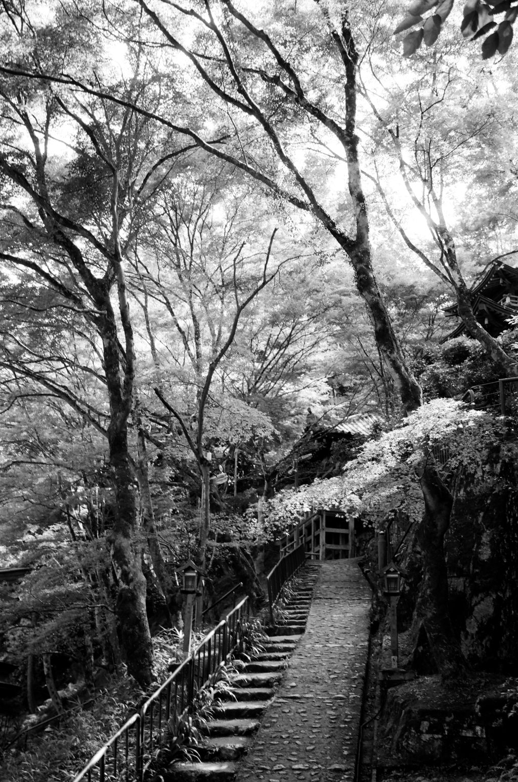愛宕念仏寺028