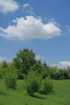 碧、空、雲