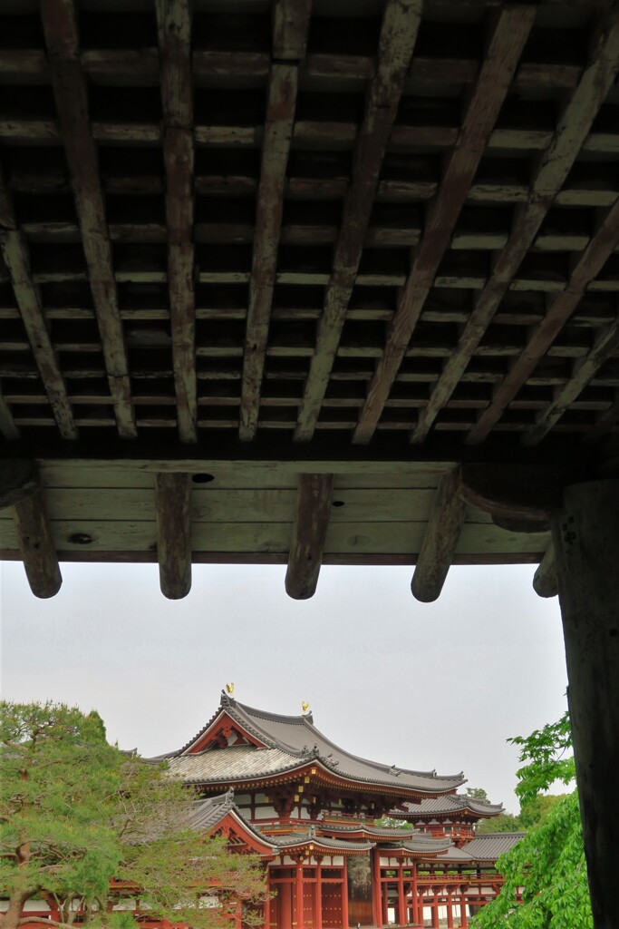 鳳凰堂がある風景