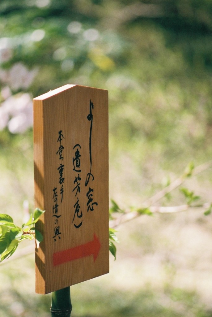 春の常照寺