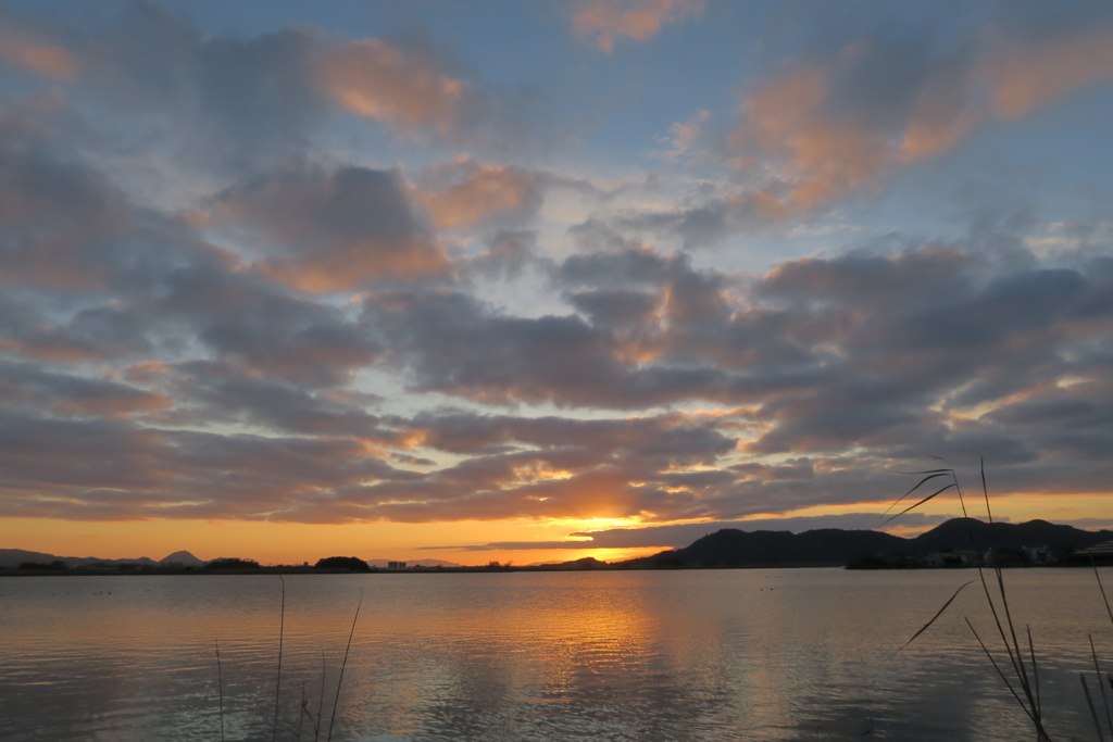 西の湖の夕景