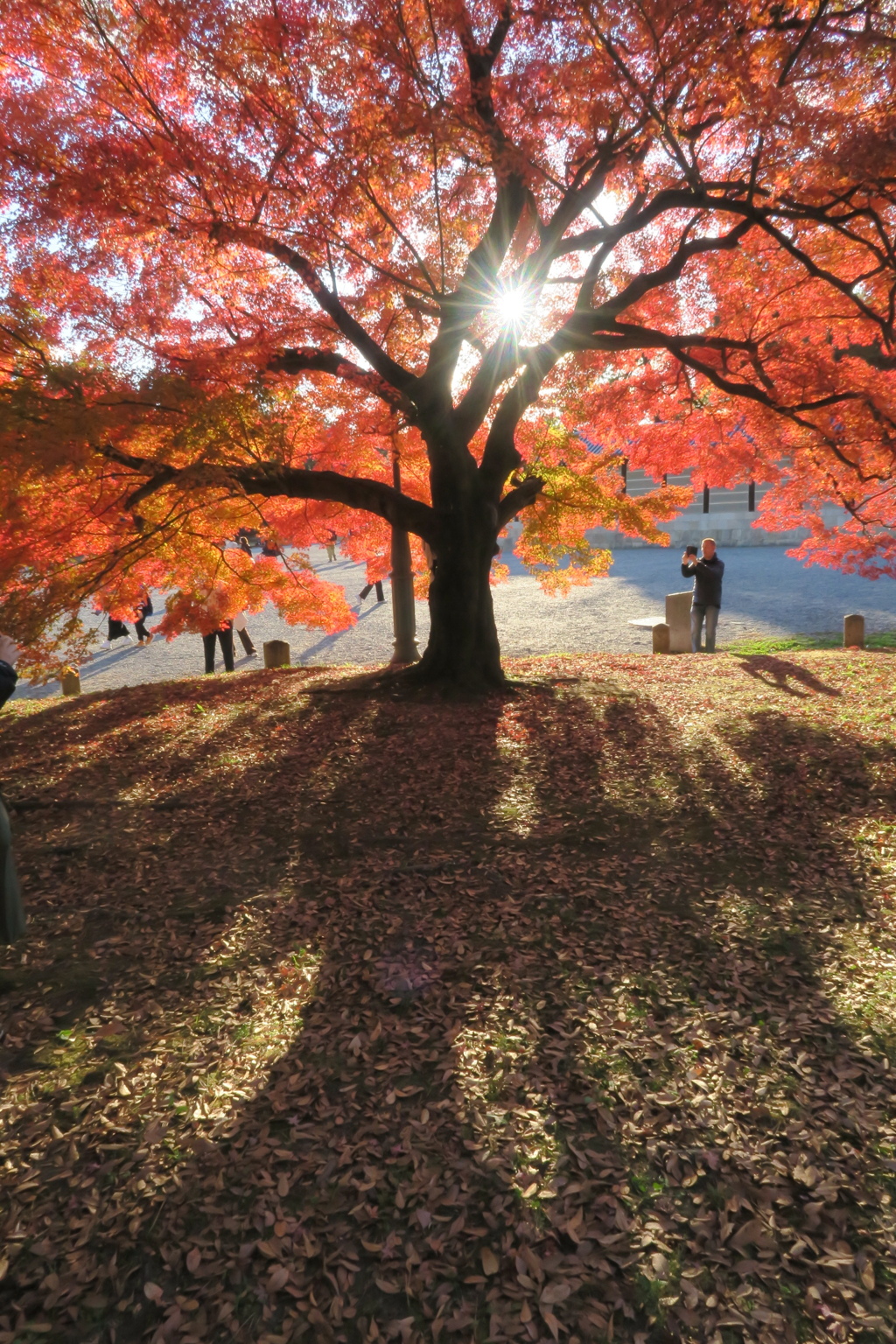 秋色詰め合わせ　其の弐　壱