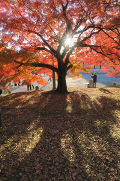 秋色詰め合わせ　其の弐　壱