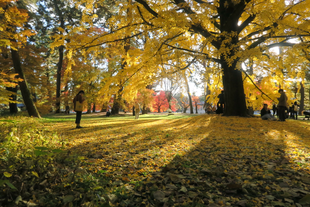 秋色詰め合わせ　其の弐　肆