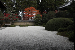 秋色詰め合わせ　其の弐　拾