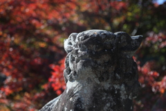 秋色詰め合わせ　陸