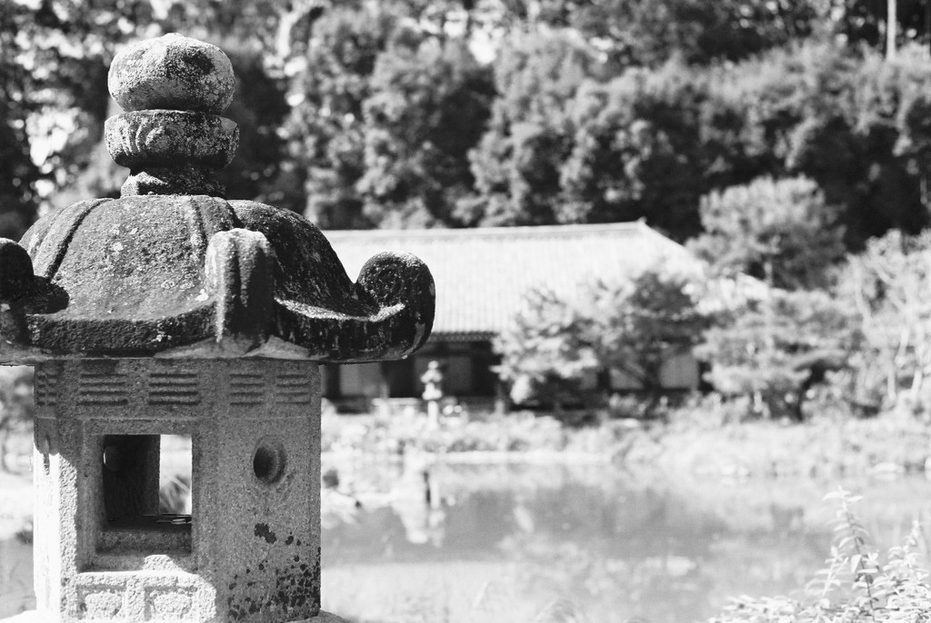 浄瑠璃寺